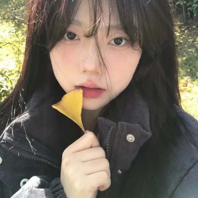 爹地的完美女孩