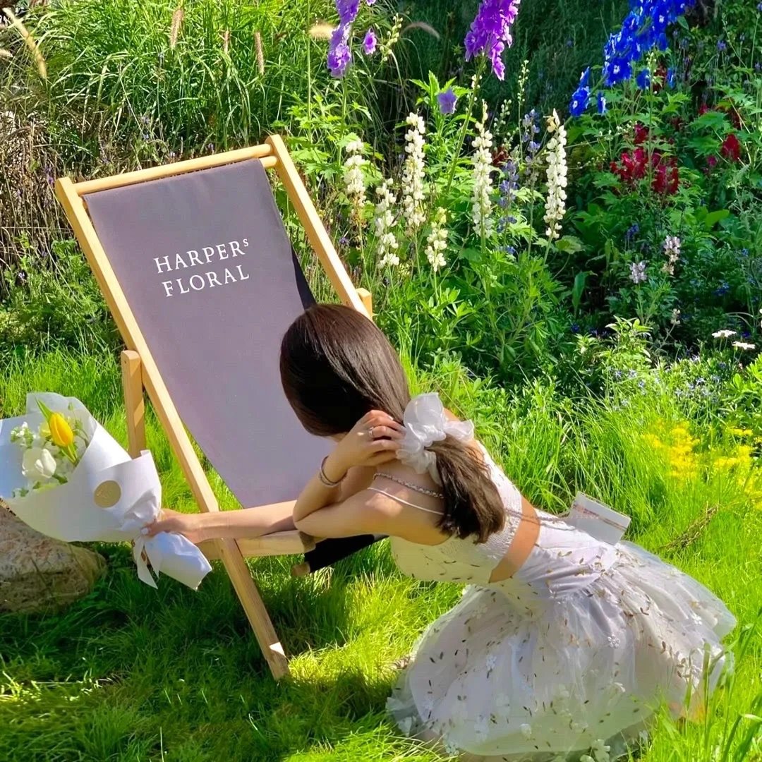 夜总何必再虐白月光